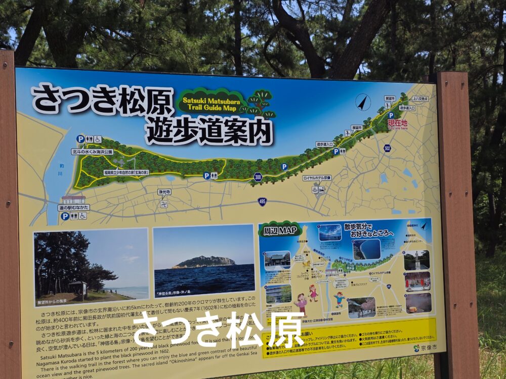 さつき松原,遊歩道案内