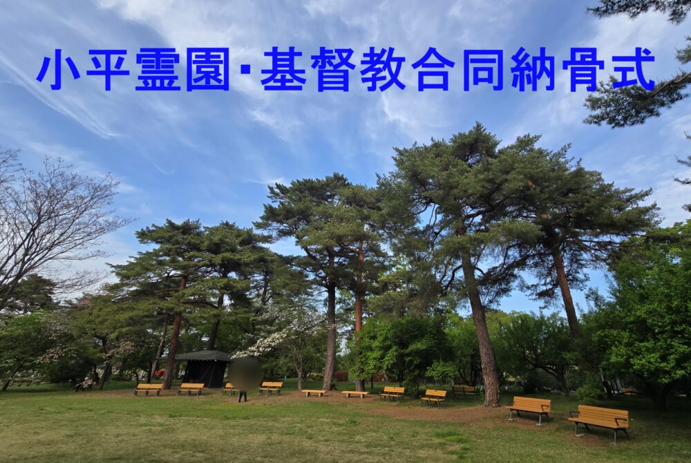 この日は快晴！